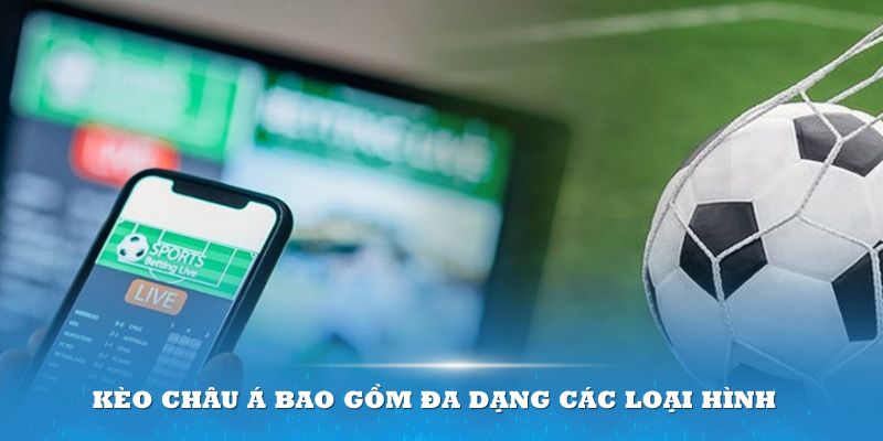 Kèo cược châu Á bao gồm đa dạng các loại hình chi tiết 