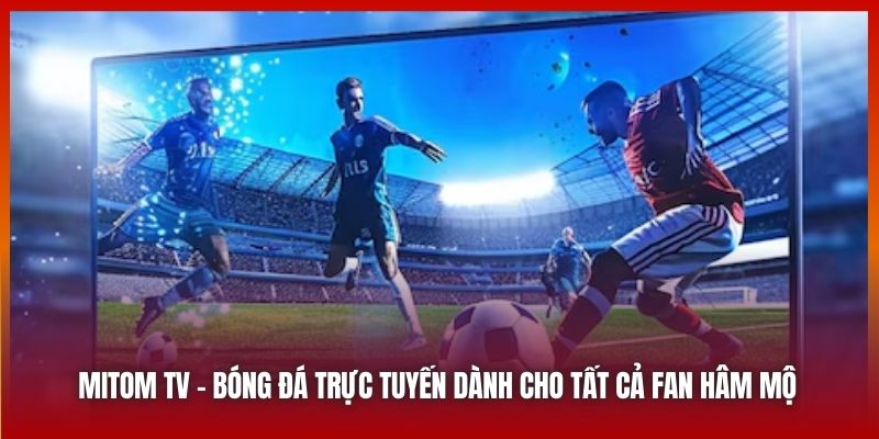 Mitom TV | Bóng Đá Trực Tuyến Dành Cho Tất Cả Fan Hâm Mộ