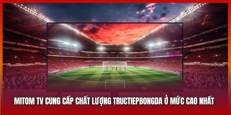 Mitom TV cung cấp chất lượng tructiepbongda ở mức cao nhất 